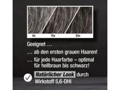 Alpecin Shampoo Grey Attack 200 ml