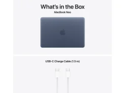 Apple 13