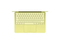Apple 13