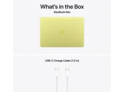 Apple 13