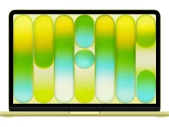 Apple 13