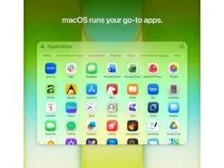 Apple 13