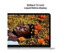 Apple 13