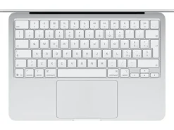 Apple 13