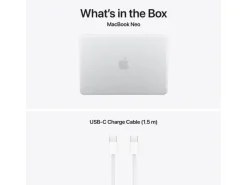 Apple 13