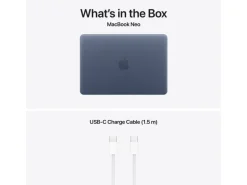 Apple 13