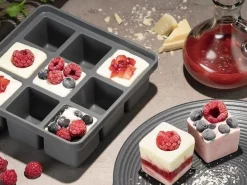 APS Eiswürfelform mit Deckel 2er Set