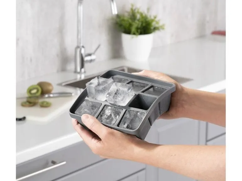 APS Eiswürfelform mit Deckel 2er Set