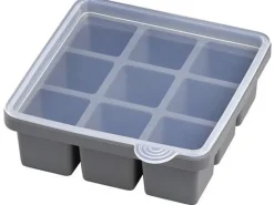 APS Eiswürfelform mit Deckel 2er Set