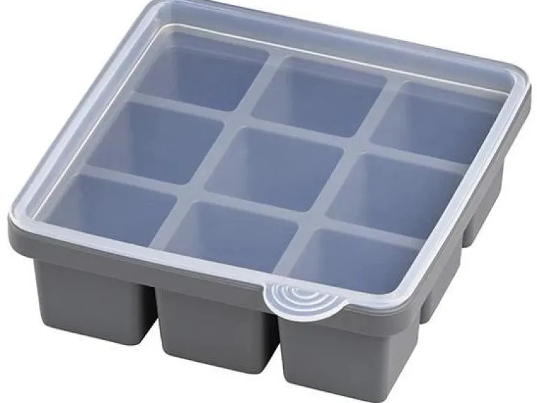 APS Eiswürfelform mit Deckel 2er Set