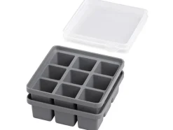 APS Eiswürfelform mit Deckel 2er Set
