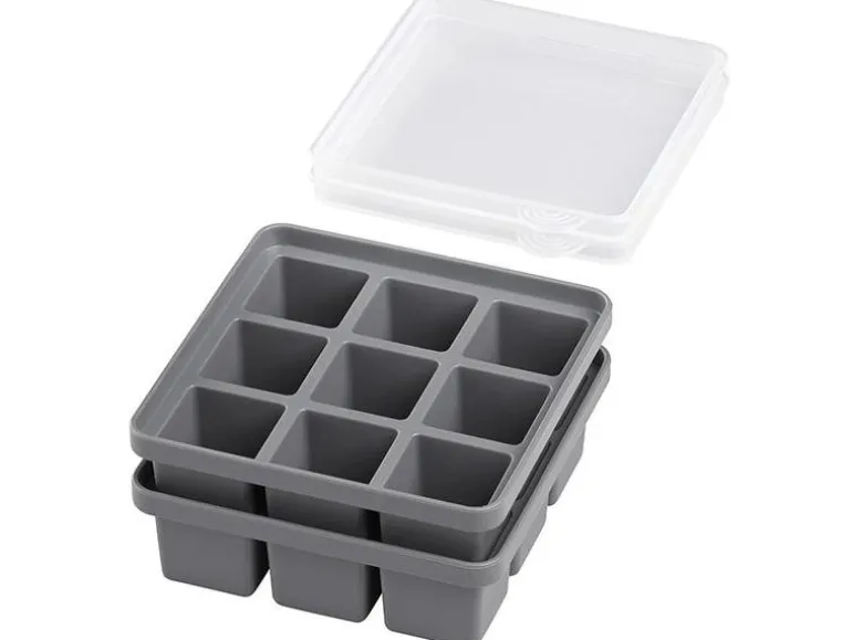 APS Eiswürfelform mit Deckel 2er Set
