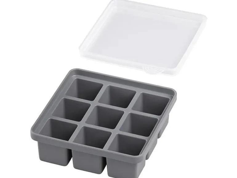 APS Eiswürfelform mit Deckel 2er Set