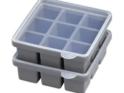 APS Eiswürfelform mit Deckel 2er Set