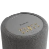 Audio Pro A10 MKII W Dunkelgrau