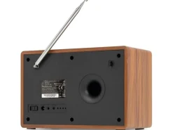 Audizio Cosa-WD Braun