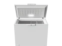 Bauknecht Gefrierschrank BKGT198CS Oben
