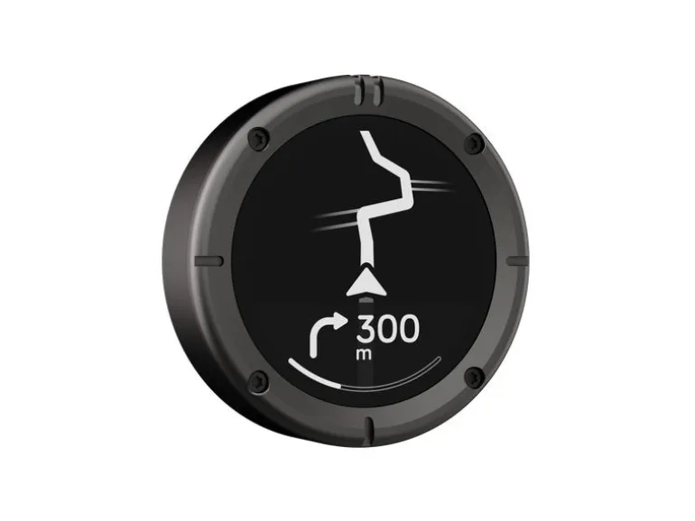 Beeline Moto 2 GPS Navi Gunmetal Grau