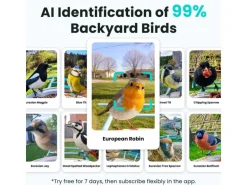 Birdfy Futterspender Basic Solar