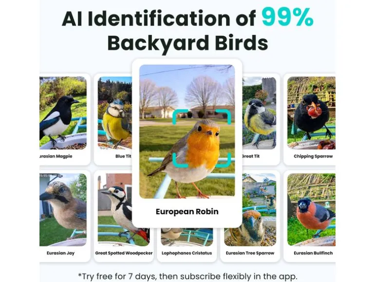 Birdfy Futterspender Basic Solar