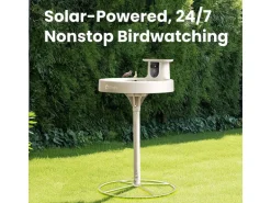 Birdfy Intelligentes Vogelbad mit Kamera