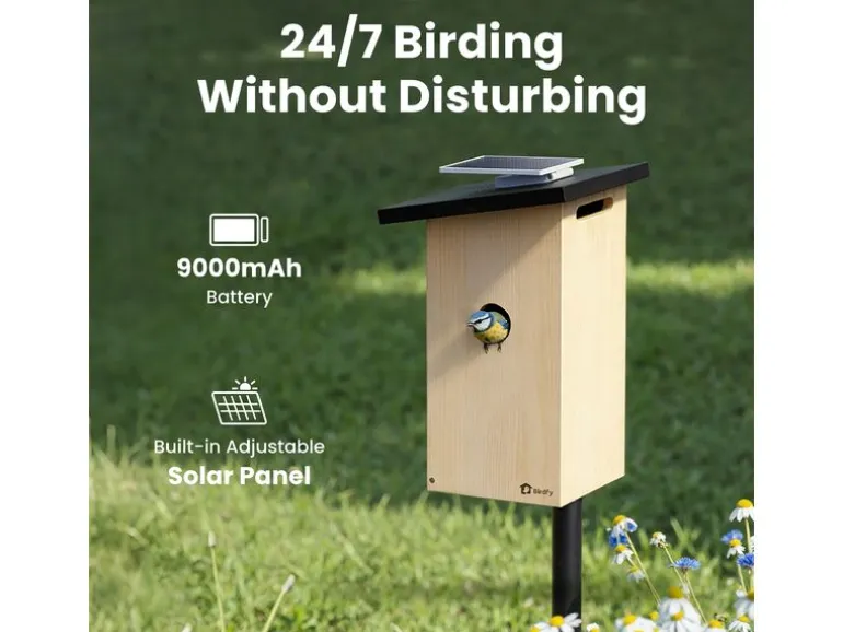 Birdfy Nistkasten mit Kamera und Solar