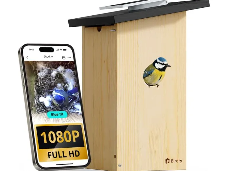 Birdfy Nistkasten mit Kamera und Solar