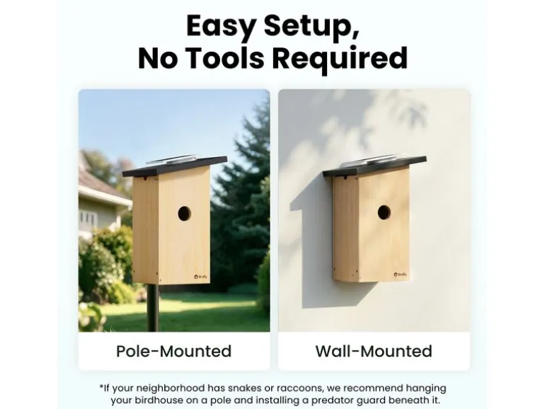 Birdfy Nistkasten mit Kamera und Solar