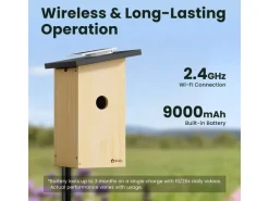 Birdfy Nistkasten mit Kamera und Solar