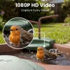 Birdfy Vogelbad Jolly V