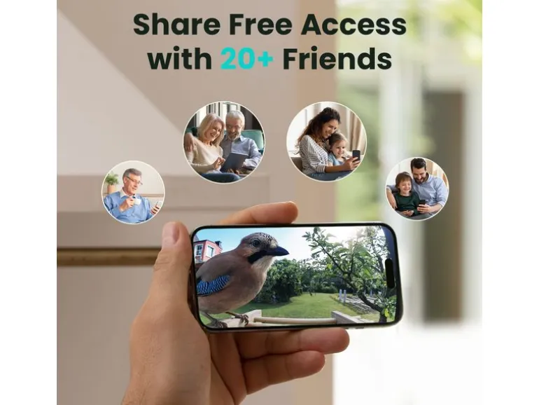 Birdfy Vogelhaus mit Kamera 1080p