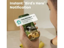 Birdfy Vogelhaus mit Kamera 1080p