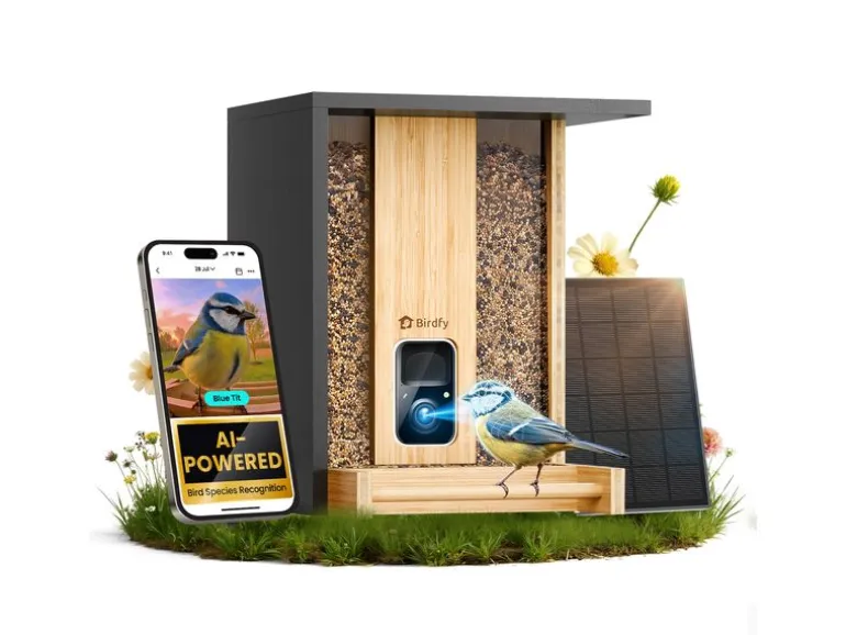 Birdfy Vogelhaus mit Kamera 1080p