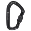 Black Diamond Karabiner Hotforge Screwgate Schwarz