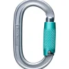Black Diamond Karabiner Oval Triple Lock Grau 1 Stück