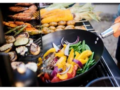 Campingaz Gasgrill Select 4 L Plus