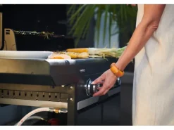 Campingaz Gasgrill Select 4 L Plus