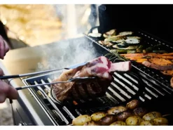Campingaz Gasgrill Select 3 LX Plus