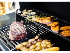 Campingaz Gasgrill Select 3 LX Plus