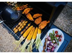 Campingaz Gasgrill Select 3 LX Plus