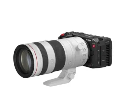 Canon Videokamera EOS C50 Kit LP-E6P, 512 GB CFE