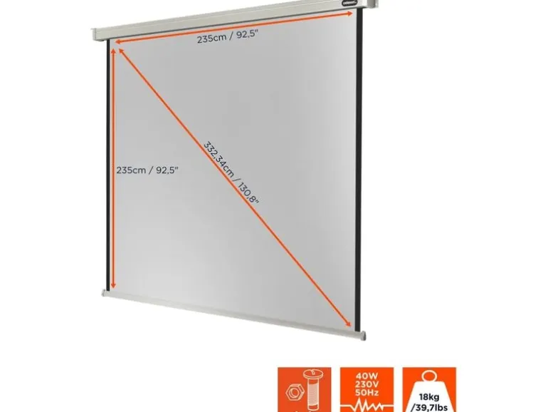 Celexon Motorleinwand Motor Professional 240x240cm 1:1