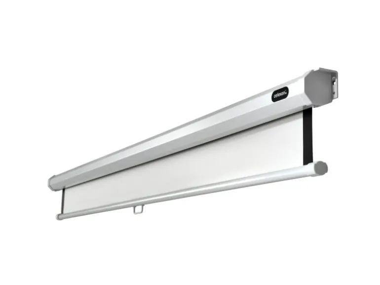 Celexon Rollo-Leinwand Eco 120x120cm 1:1