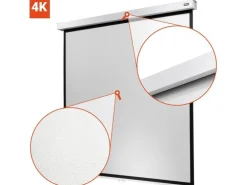 Celexon Rollo-Leinwand Professional Plus 280x210 cm 4:3