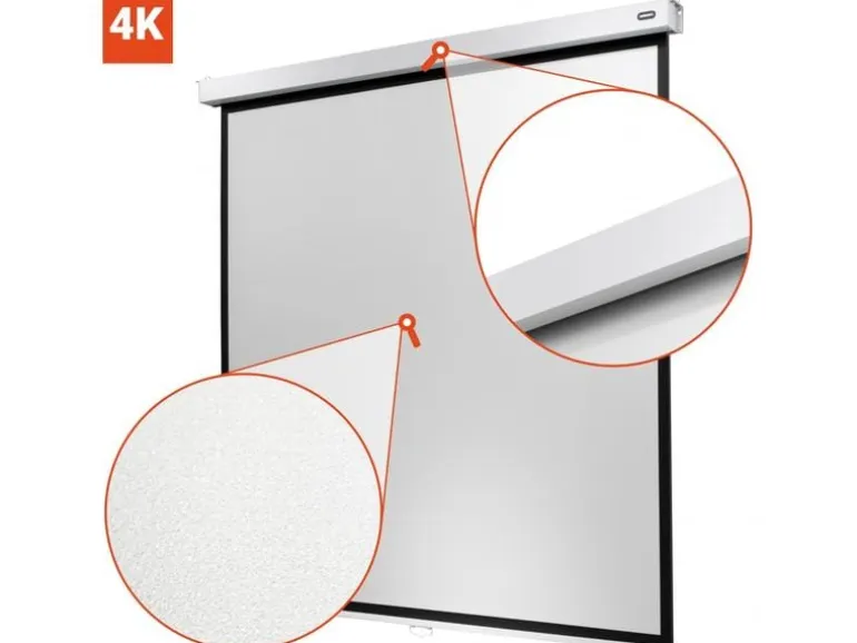 Celexon Rollo-Leinwand Professional Plus 280x210 cm 4:3