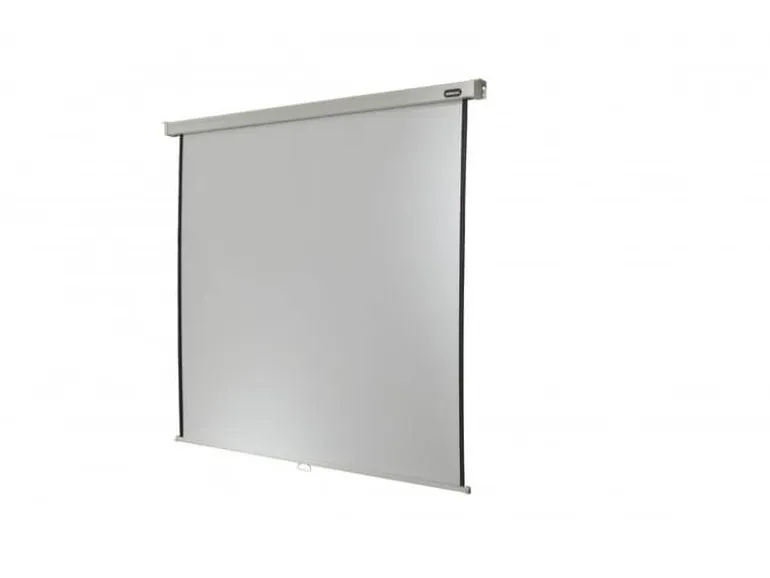 Celexon Rollo-Leinwand Professional Plus 280x210 cm 4:3