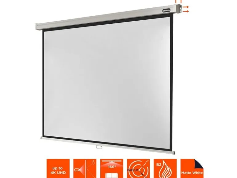 Celexon Rollo-Leinwand Pro 220x165cm 4:3