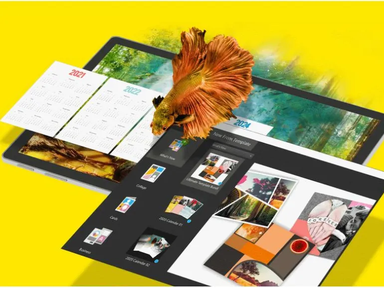 Corel PaintShop Pro 2023 ESD, Vollversion
