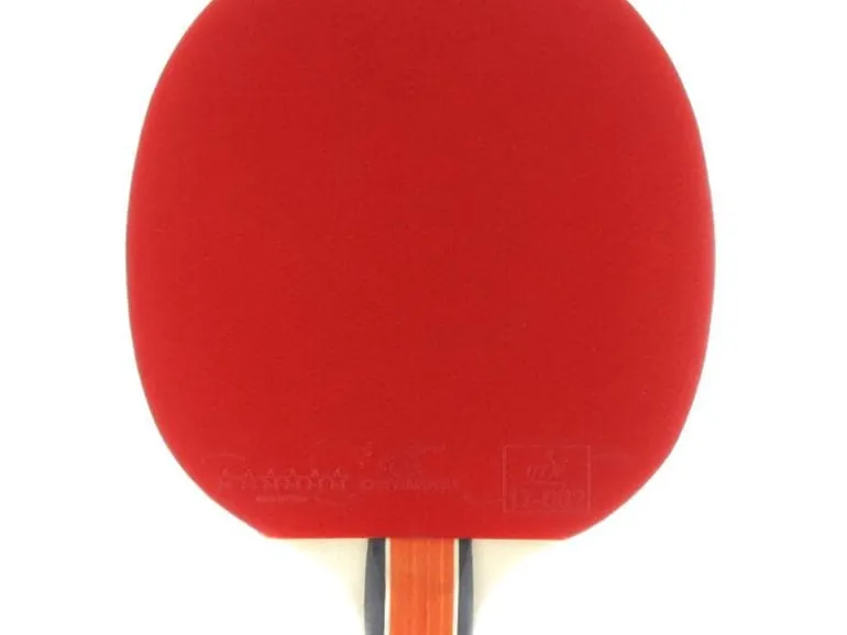 Cornilleau Tischtennisschläger Sport 300