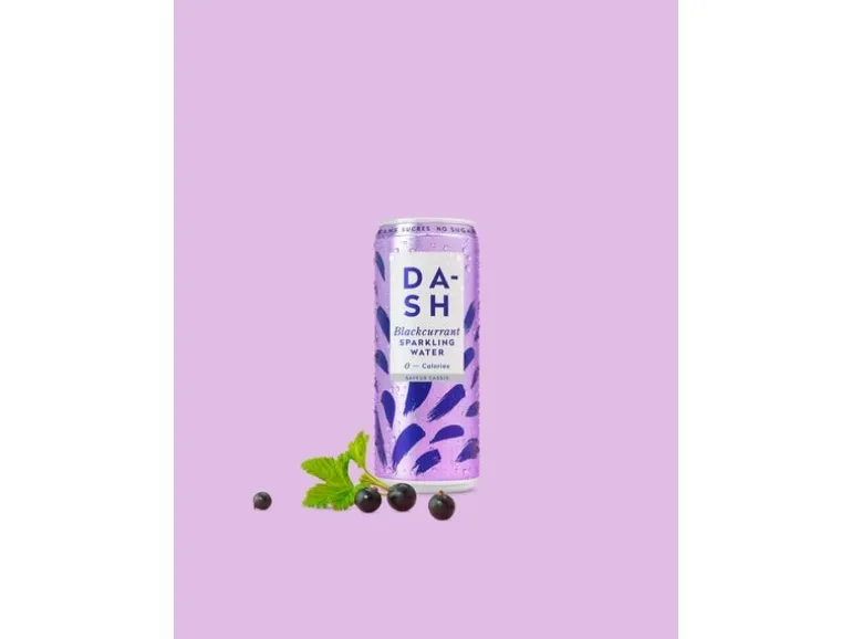 Dash Water Soft-Drinks Sparkling Blackcurrant 12 x 0.33 l
